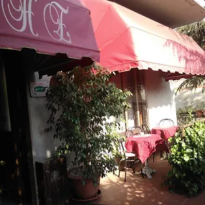 Elena 2*, Verona Italia